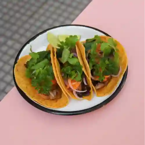 Tacos de Girgolas